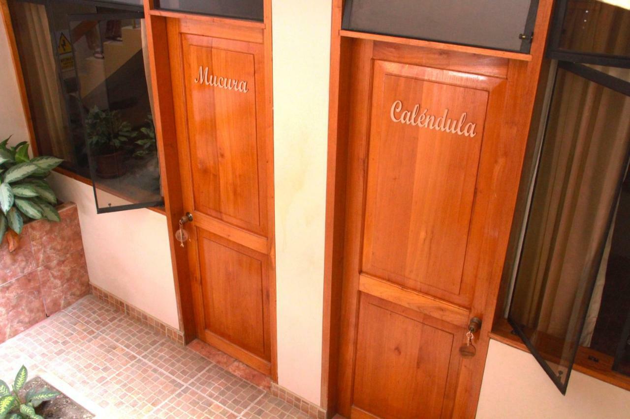 Zygo Bed & Breakfast ตาราโปโต ภายนอก รูปภาพ