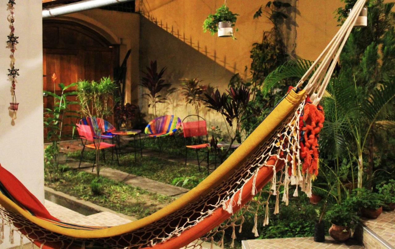 Zygo Bed & Breakfast ตาราโปโต ภายนอก รูปภาพ